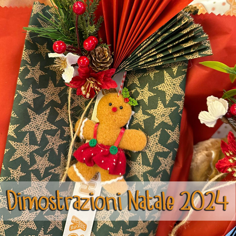 Dim. NATALE 2024